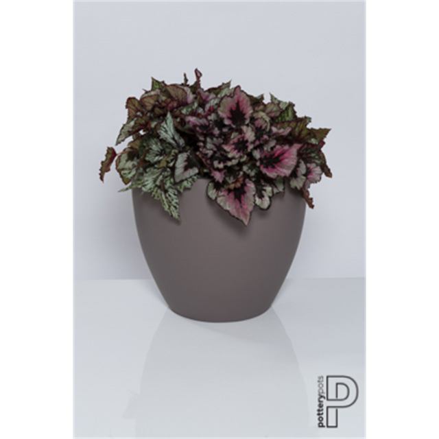 potterypots revivalcollection BUN L