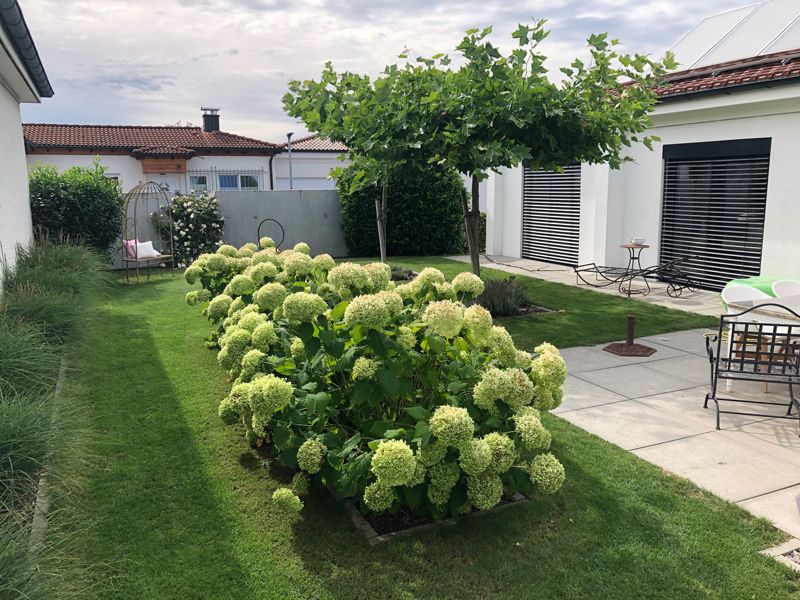 Wohnraum Garten Gebrueder Liewig GbR | Gartengestaltung
