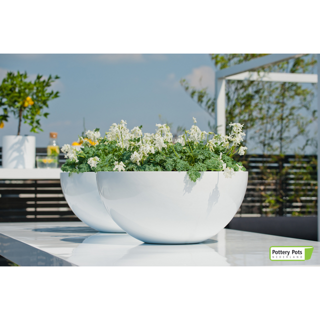 potterypots essentialcollection VIC BOWL L