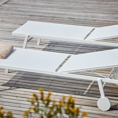 jankurtz: newton sun liege