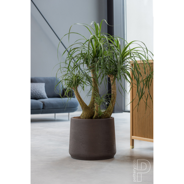 potterypots rough PATT XXL