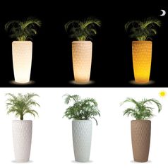 Degardo: Sereno Collection day and night