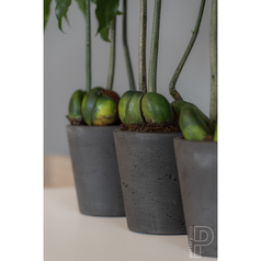 potterypots rough MINI BUCKET XS