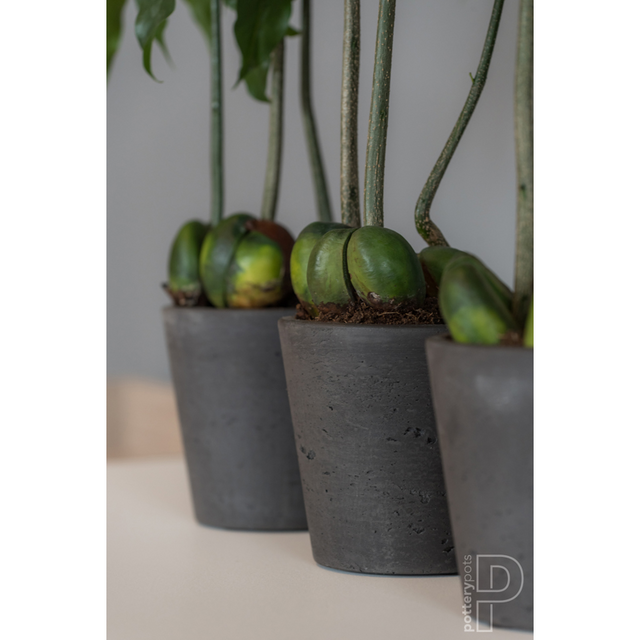 potterypots rough MINI BUCKET XS