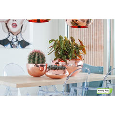 potterypots platinumcollection CORA