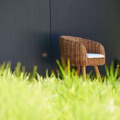 jankurtz: springfield stuhl rattan